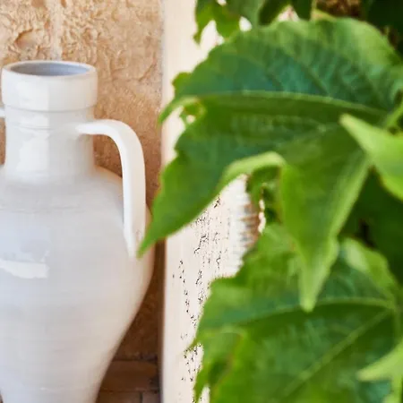 Vakantiehuis Equorum Prospectus 1 - Centro - *