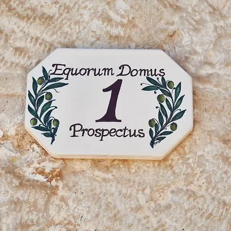 Equorum Prospectus 1 - Centro - Semesterbostad