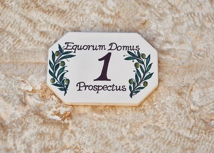 Equorum Prospectus 1 - Centro - Ferienhaus